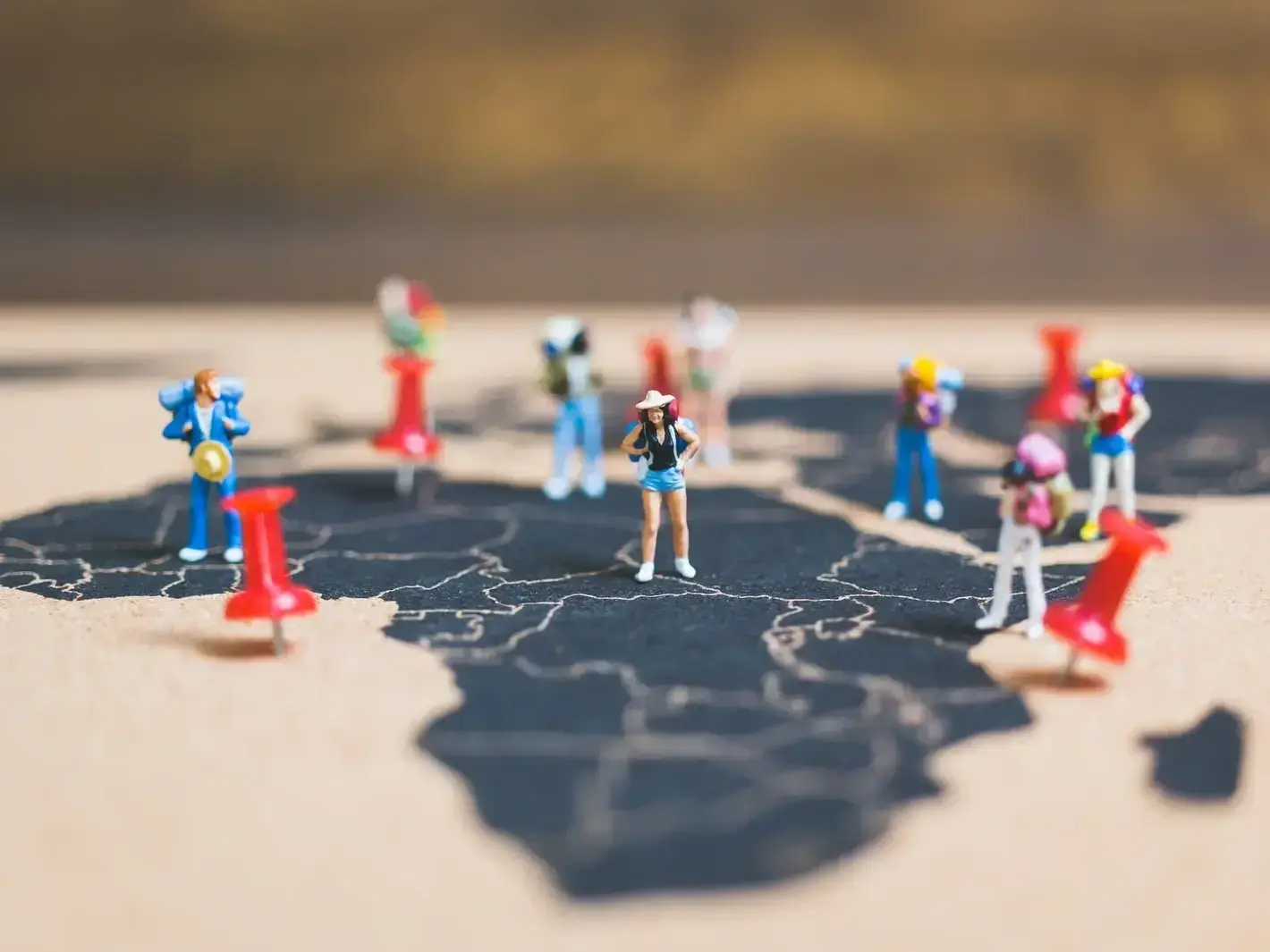 Search marketing campaign planning for vineyard tourism and small business growth near Sun-Oka Beach Provincial Park